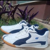 تصویر کفش فوتسال ورلدکاپ سالنی 