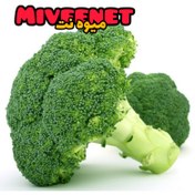 تصویر بروکلی ممتاز بسته بندی تازه نگهدار ۵۰۰+ گرمی میوه نت - 100 ا broccoli fresh packing miveenet +500gr broccoli fresh packing miveenet +500gr
