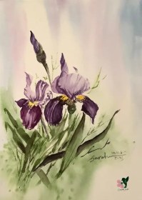 تصویر نقاشی گل زنبق آبرنگی 