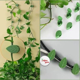 تصویر گیره برگ نگهدارنده گیاه ده عددی 