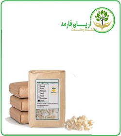 تصویر صمغ کتیرا خشک فله 