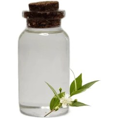 تصویر روغن مورد 