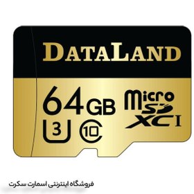 تصویر کارت حافظه 64 گیگابایت سازگار دوربین DataLand 