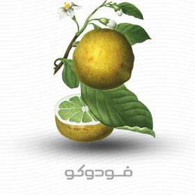 تصویر اسانس مایع برگاموت Bergamot liquid essential oil