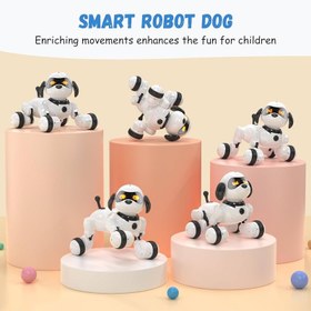 تصویر ربات کنترلی مدل سگ کد K36 - سفید صدفی 