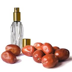 تصویر گل سنجد (شکوفه سنجد) 