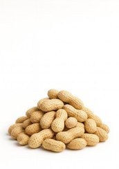 تصویر بادام زمینی روکشدار 