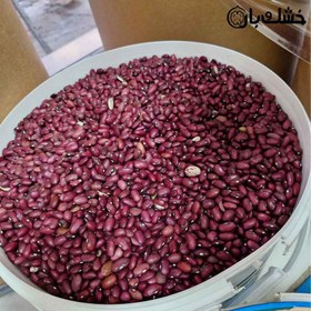 تصویر لوبیای قرمز 