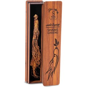 تصویر جینسینگ قرمز 