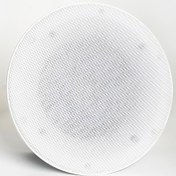 تصویر اسپیکر سقفی 100 وات 