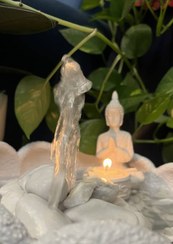 تصویر آبنما نیلوفر آبی 