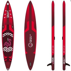 تصویر پدل برد سرعتی فلامینگو 