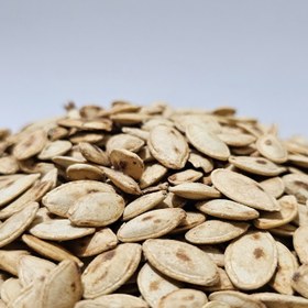 تصویر تخمه خال دار 