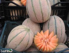 تصویر بذر ملون(خربزه)جانا نانهمز F1 