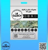 تصویر گیاه اکالیپتوس 50 گرمی 