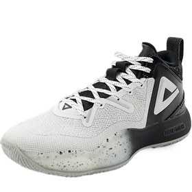 تصویر کفش بسکتبال پیک مدل ET34071A 