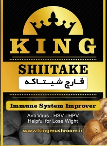 تصویر فروشگاه کینگلند