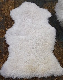 تصویر پوست گوسفند مرینوس cow skin