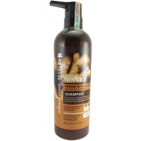 تصویر شامپو میگ زنجبیل حجم ۷۸۰ میلی لیتر (Ginger shampoo mige) 