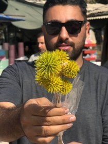 تصویر گل خشک طبیعی اچینو 