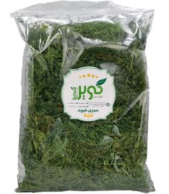 تصویر شوید خشک طلای سبز کویر 