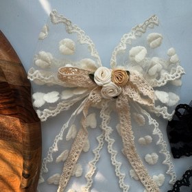 تصویر پاپیون گل رز 