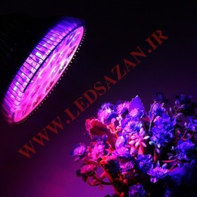 تصویر لامپ رشد گیاه ۱۲ وات ~ ۳۶wl مدل لنز دار فول اسپکتروم 