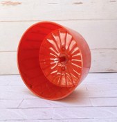 تصویر چرخ و فلک همستر 