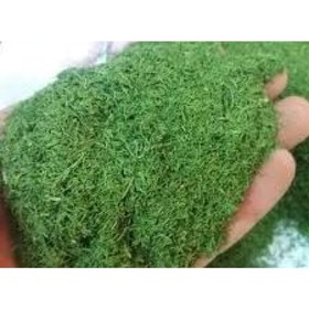 تصویر شوید خشک بسته 100 گرمی 