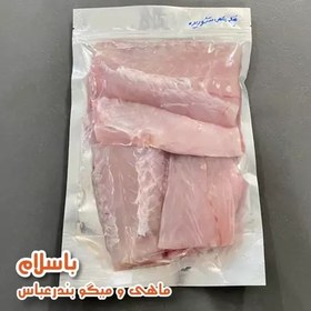 تصویر ماهی شوریده درجه 1 جنوب سایز بزرگ تازه و صید روز (1 کیلوگرم) 