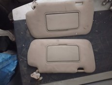 تصویر آفتابگیر ماکسیما 