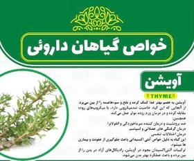 تصویر اویشن باغی سرشاخه اعلا 1000 گرمی Thyme head branch 1000g