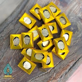 تصویر بج سینه کد B101103 