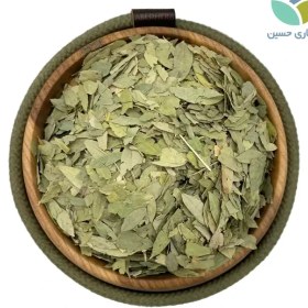 تصویر برگ سنا 