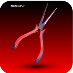 تصویر پینچر انبری 