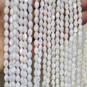 تصویر ریسه صدف بیضی 