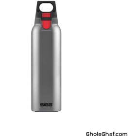 تصویر فلاسک SIGG مدل وان لایت One Light 0.55 L 