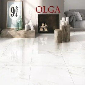 تصویر سرامیک کف OLGA کد 609 