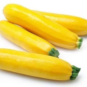 تصویر بذر کدو زرد 10 عددی 