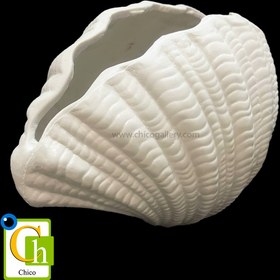 تصویر گلدان صدف 