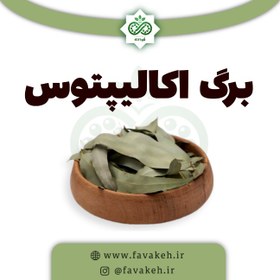 تصویر برگ اکالیپتوس 200 گرم 