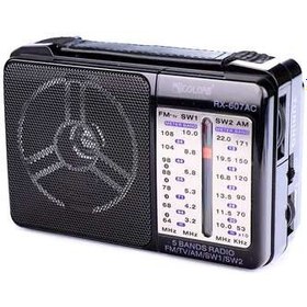 تصویر رادیو Golon RX-607A مشکی ا Golon RX-607AC Radio Speaker Golon RX-607AC Radio Speaker