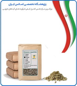 تصویر گل سنجد خشک فله 