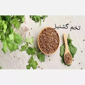 تصویر تخم گشنیز 