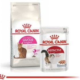 تصویر غذای خشک رویال کنین گربه بالغ مدل Savour Exigent وزن 4 کیلوگرم Royal Canin Savour Exigent Adult Dry Cat Food