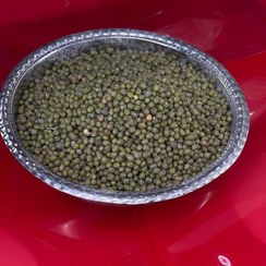 تصویر ماش دستچین امساله 