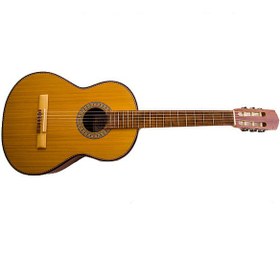 تصویر گیتار کلاسیک دالاهو مدل 1C 