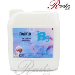 تصویر نرم کننده مو پادینا مدل انار حجم 4000 میلی لیتر 