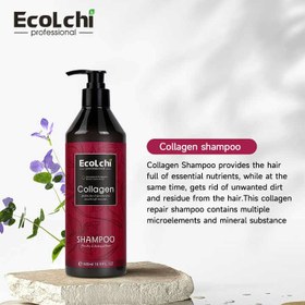 تصویر شامپو بدون سولفات و بدون پارابن حاوی کلاژن اکولچی حجم 500 ml Collagen Shampoo sulfate free , paraben free ECOLCHI 500ml