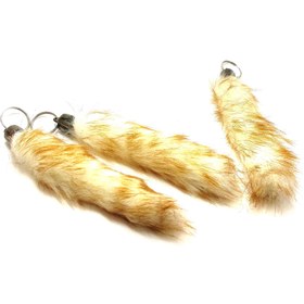 تصویر آویز دم روباه کوتاه 